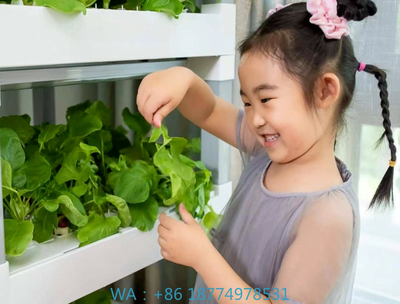 nt China Hydrokultur Grow Box  – Diy Home Automation System recenzja i cena