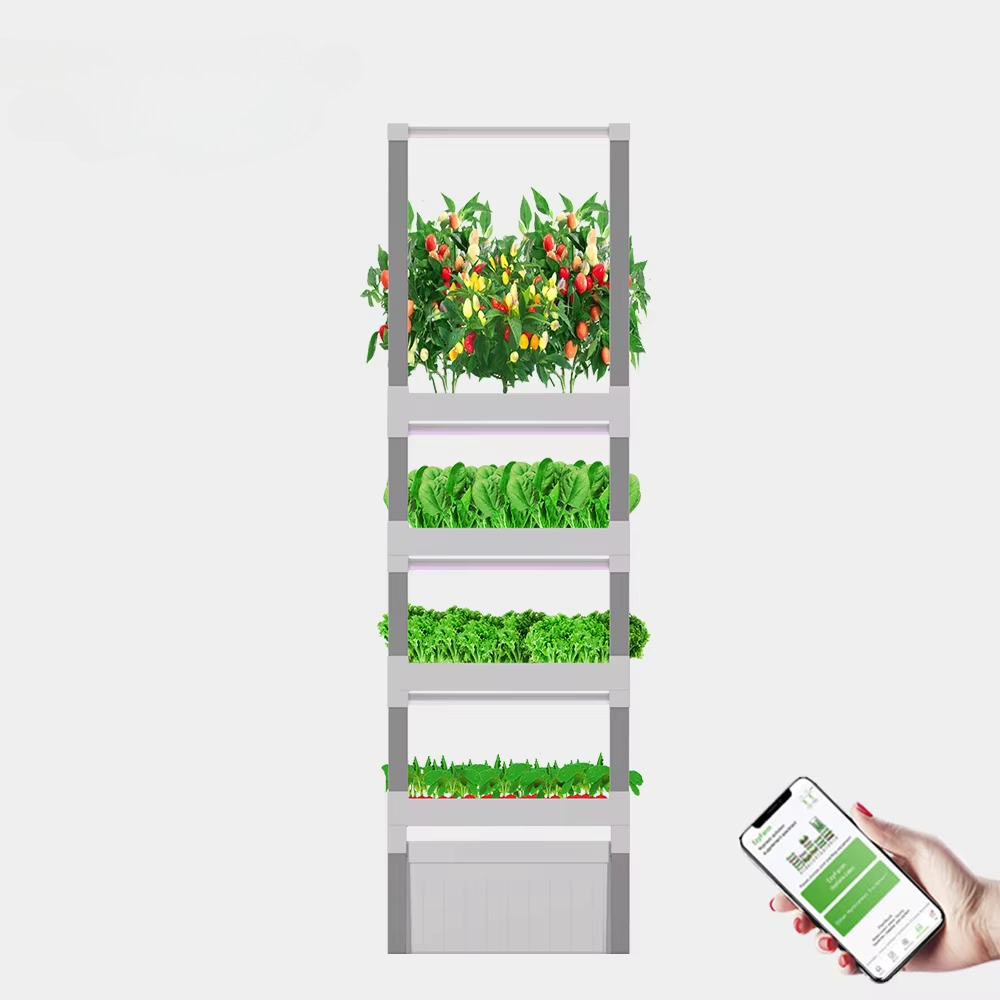 nt China Hydrokultur Grow Box  – Diy Home Automation System recenzja i cena
