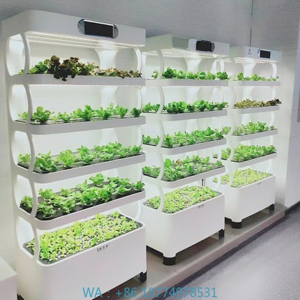 Iydroponic Automated Grow Syst – Diy Home Automation System recenzja i cena