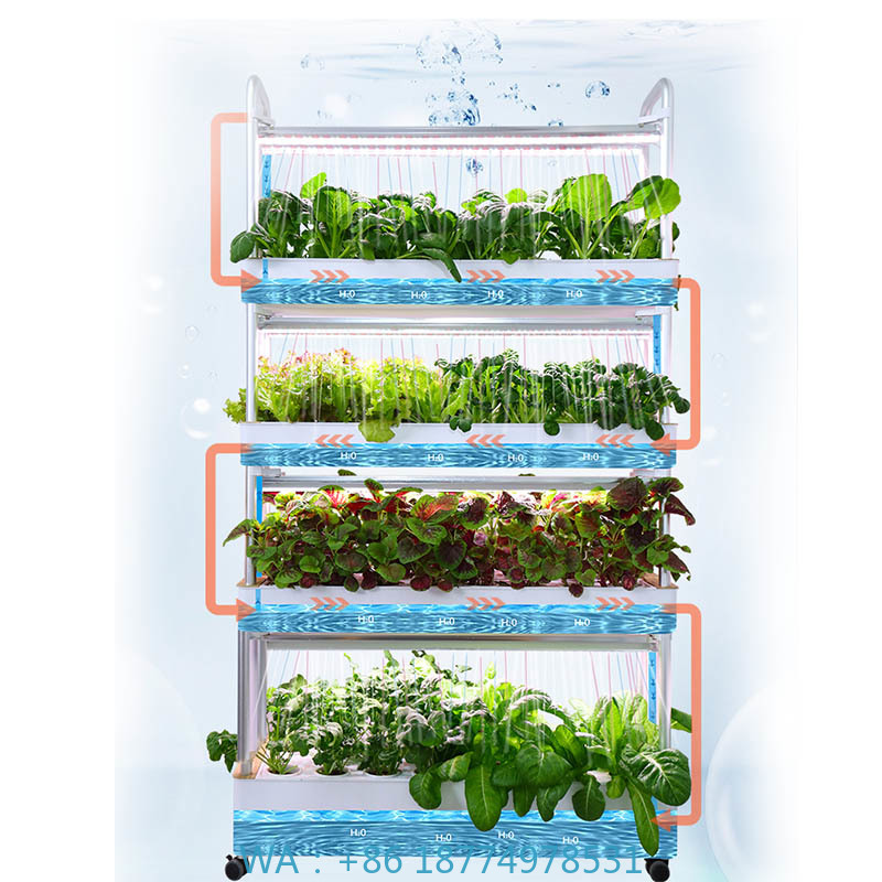 ydroponic Planting System Smar – Diy Home Automation System recenzja i cena
