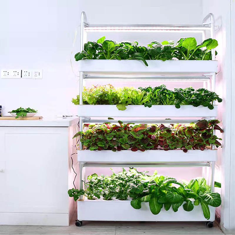 ydroponic Planting System Smar – Diy Home Automation System recenzja i cena