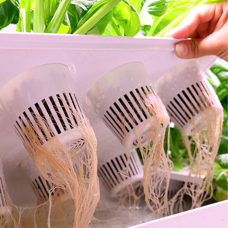 ydroponic Planting System Smar – Diy Home Automation System recenzja i cena