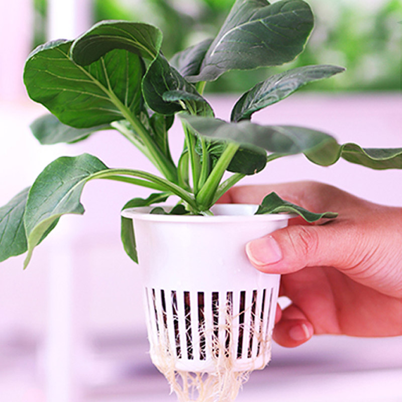 ydroponic Planting System Smar – Diy Home Automation System recenzja i cena