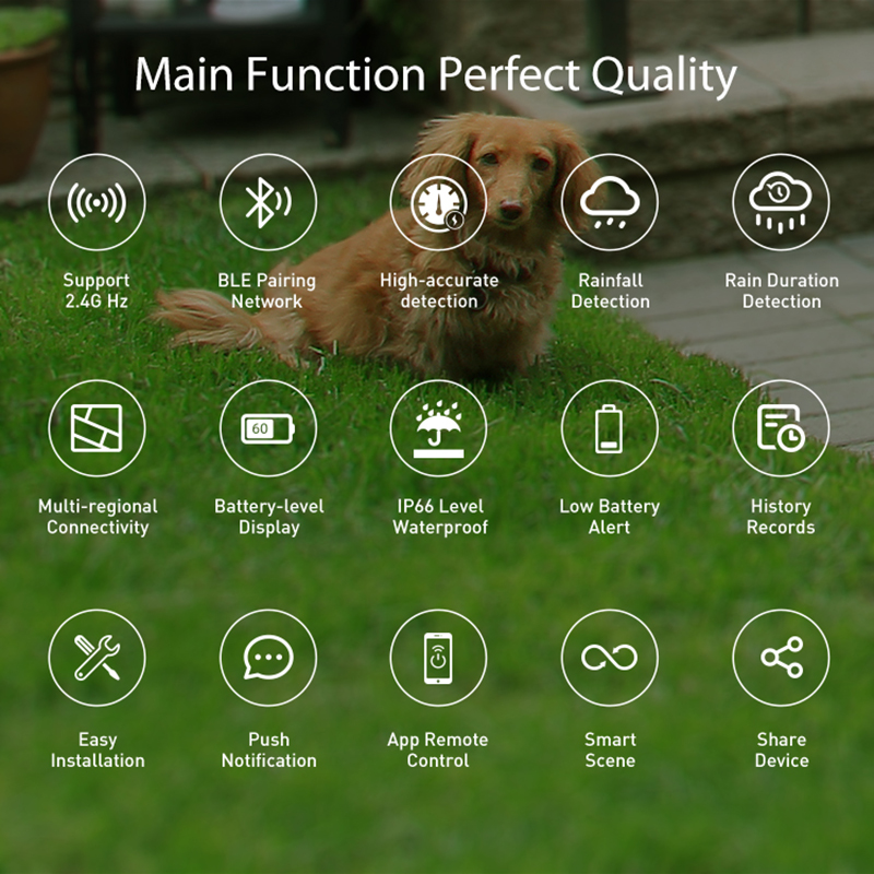 WiFi Rain Sensor Rainfall Dura – Home Automation Technology recenzja i cena